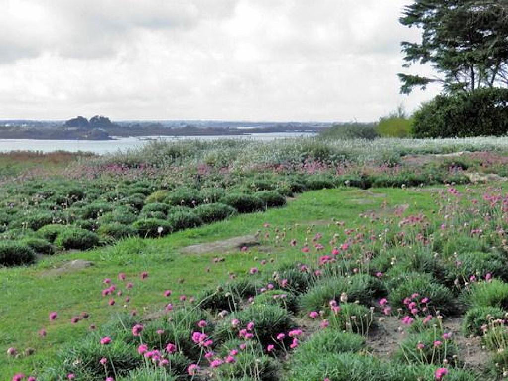 130 Ile de Batz Jardin Georges Delaselle_000037.jpg